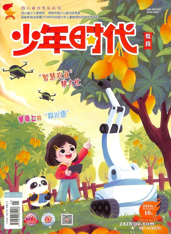 少年时代低段.jpg